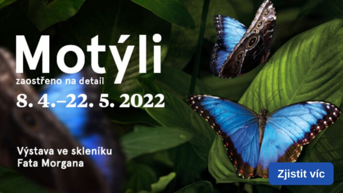 Výstava-motýlů-Botanická-zahrada-Praha