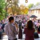 Cibulka Open 2022 - hudební festival
